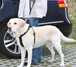 Trixie Mehr Transport & Unterwegs > Universal-Ersatz-Kurzführer
