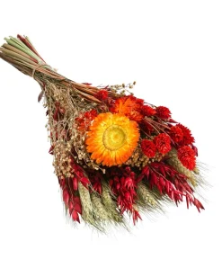 Dehner Trockenblumen - Trockenblumenbouquet Cone,