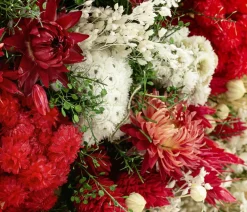 Dehner Trockenblumen > Trockenblumenbouquet Giardino, /
