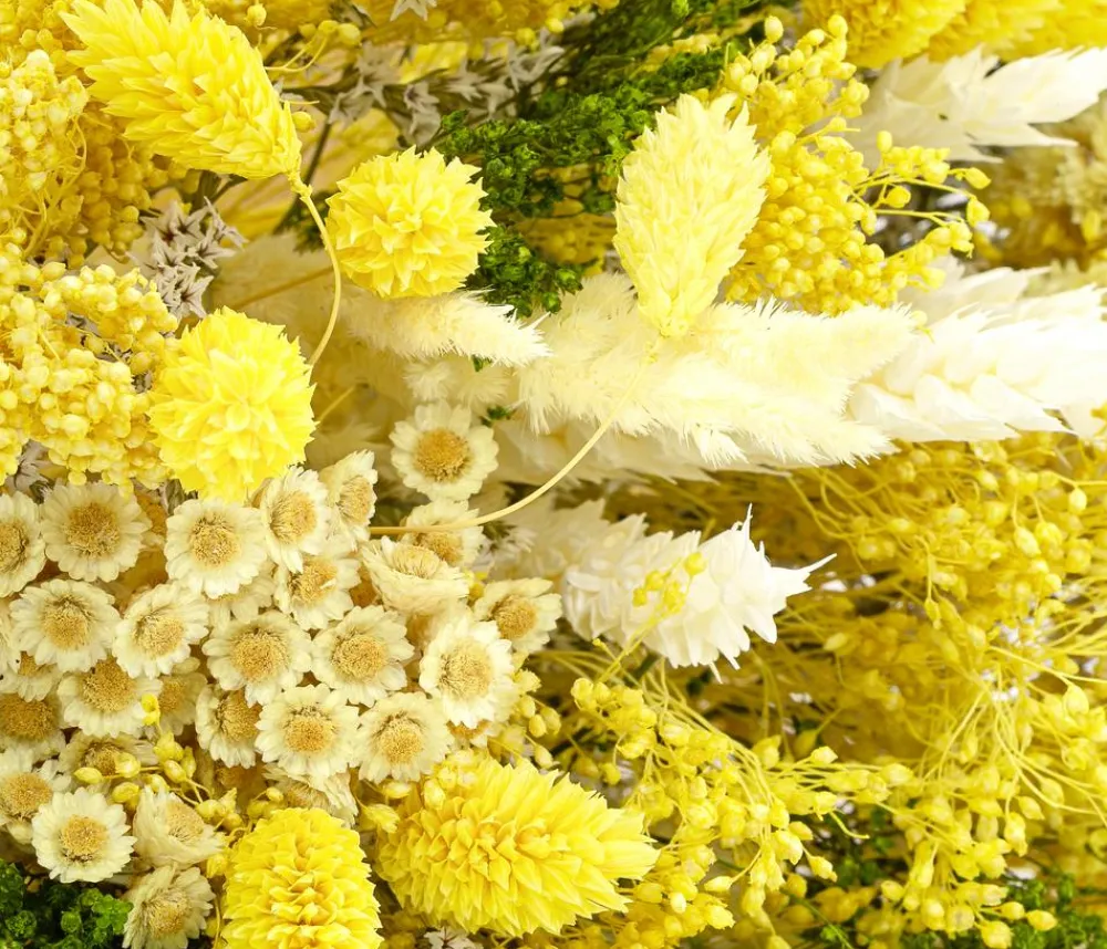 Dehner Trockenblumen > Trockenblumenbouquet Harmonie,