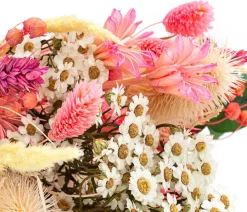 Dehner Trockenblumen - Trockenblumenbouquet Lights, pink