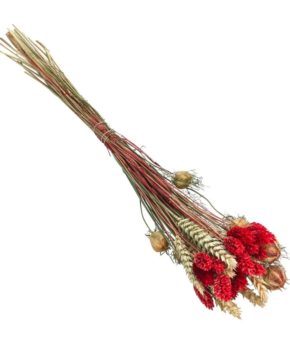 Dehner Trockenblumenbouquet Luna,