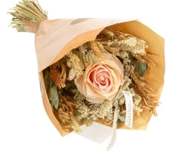 Dehner Trockenblumen > Trockenblumenbouquet Seidenglanz Peach