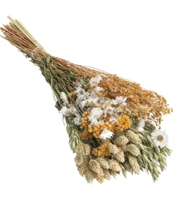 Dehner Trockenblumenbouquet Spring,