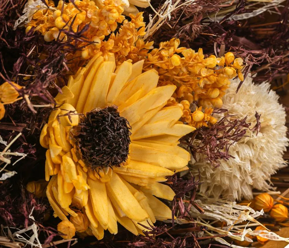 Dehner Trockenblumen > Trockenblumenbouquet Sunflower Autumn, /