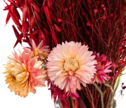Dehner Trockenblumen - Trockenblumenbouquet Trendy,
