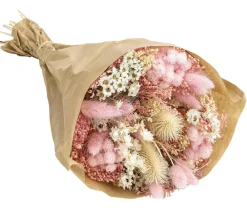 Dehner Trockenblumen - Trockenblumenbouquet Wow, /