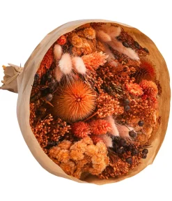Dehner Trockenblumen - Trockenblumenbouquet Wow, terracotta Terrakotta