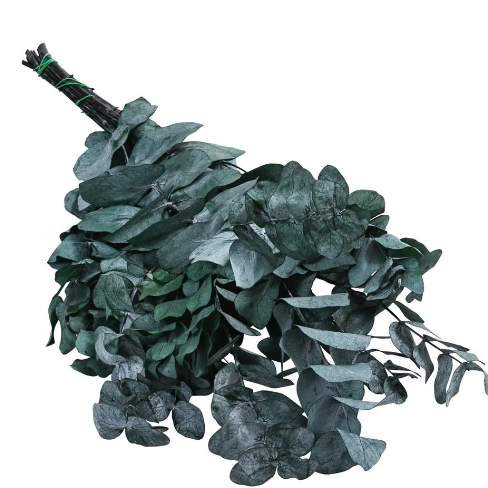 Dehner Trockenblumen > Trockenblumenbund Eukalyptus,