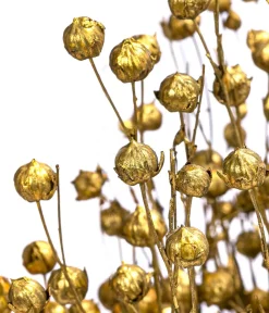 Dehner Trockenblumen - Trockenblumenbund Flachs, Gold