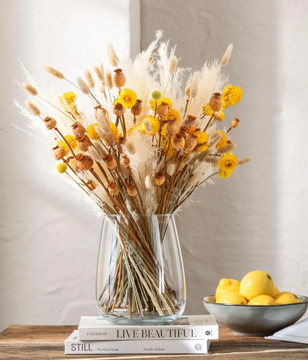 Dehner Trockenblumen > Trockenblumenbund Hasenschwanzgras, gebleicht