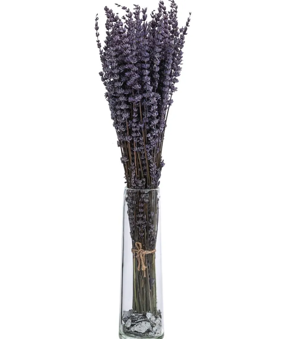 Dehner Trockenblumen > Trockenblumenbund Lavendel, 100g, ca. L45 cm