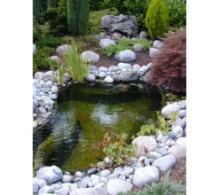 Ubbink Gartenteich·Teichbecken & Teichfolien|Teichbecken & Teichfolien - Fertigteich Calmus S I, 145 l Schwarz