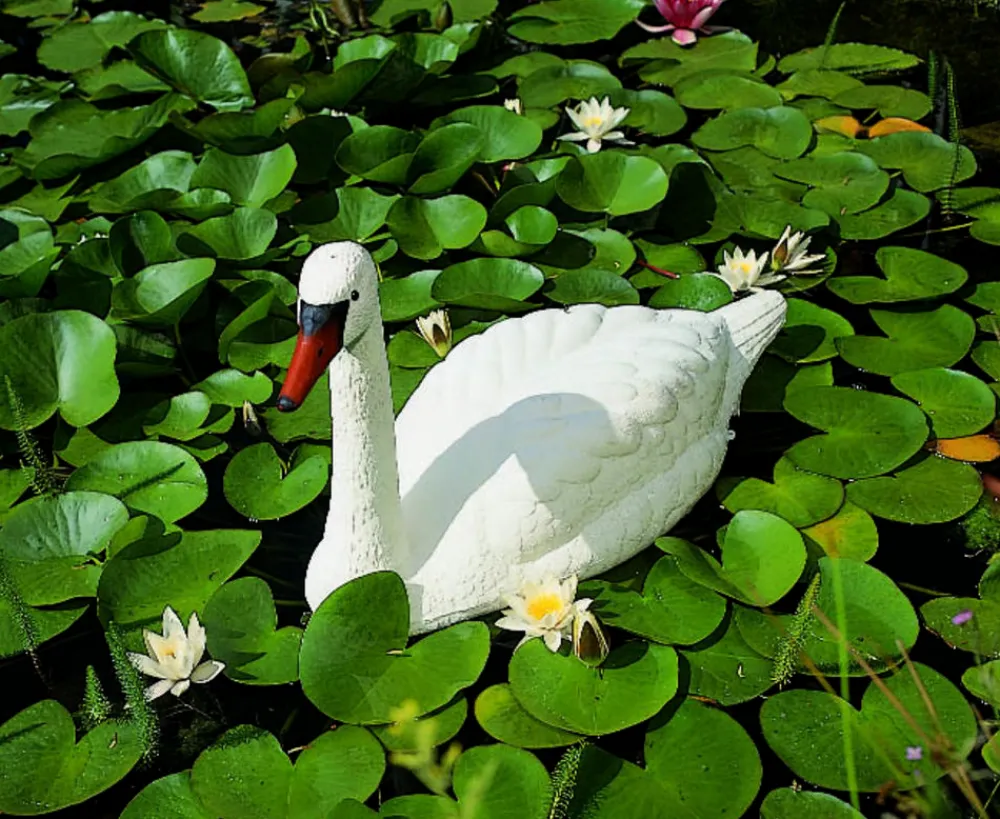 Ubbink Gartenteich·Teichzubehör & Teichpflege|Teichzubehör & Teichpflege - Kunststoff-Schwan, ca. B85/H54,5/T36 cm Weiß