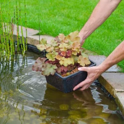 Ubbink Gartenteich·Teichzubehör & Teichpflege|Teichzubehör & Teichpflege > Wasserpflanzenkorb, , rechteckig