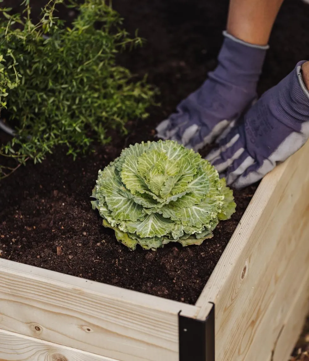 upyard Hochbeete & Frühbeete > Holz-Hochbeet GardenBox I-Box, ca. B120/H40/T80 cm