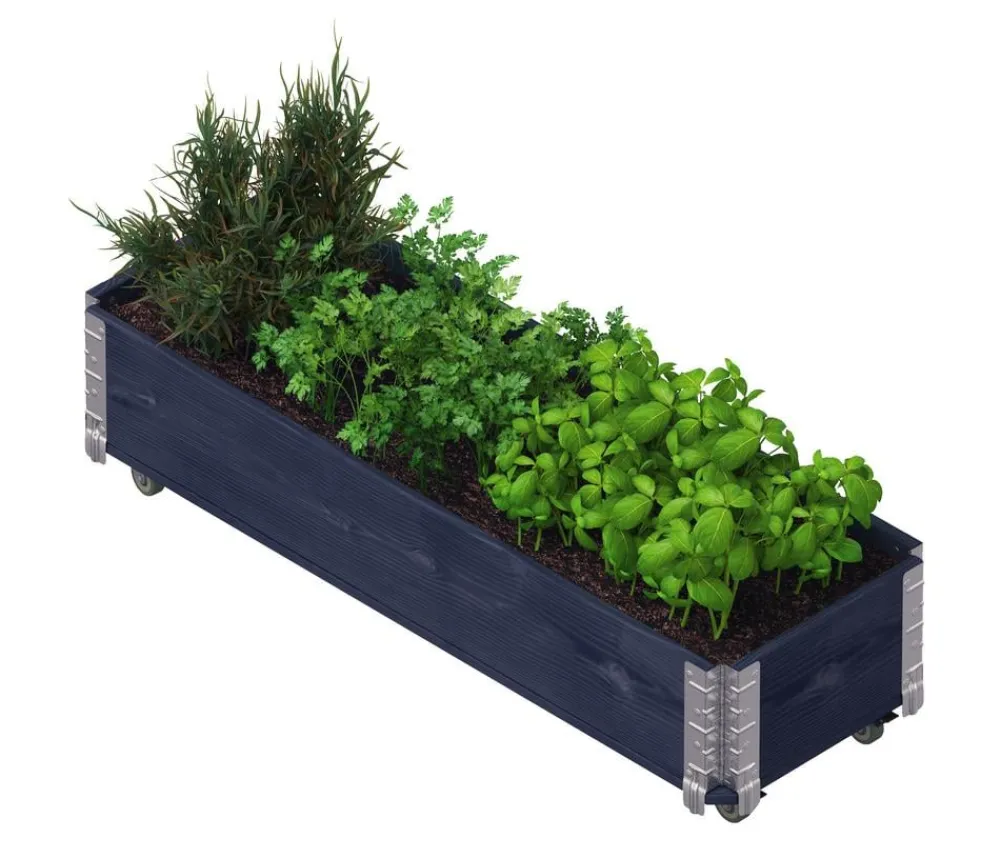upyard Hochbeete & Frühbeete > Holz-Kräuterkasten HerbsBox mit Rollen, ca. B120/H20/T40 cm