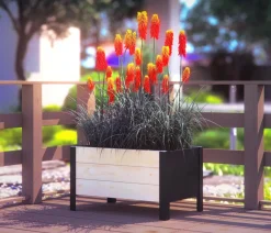 upyard Holz-Pflanzkasten ModernBox, ca. B58/H32/T36 cm Natur Clearance