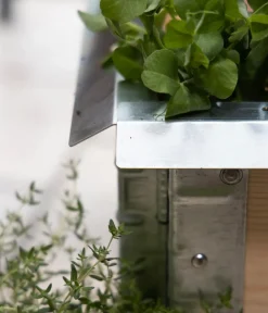 upyard Schneckenkante Silber Discount