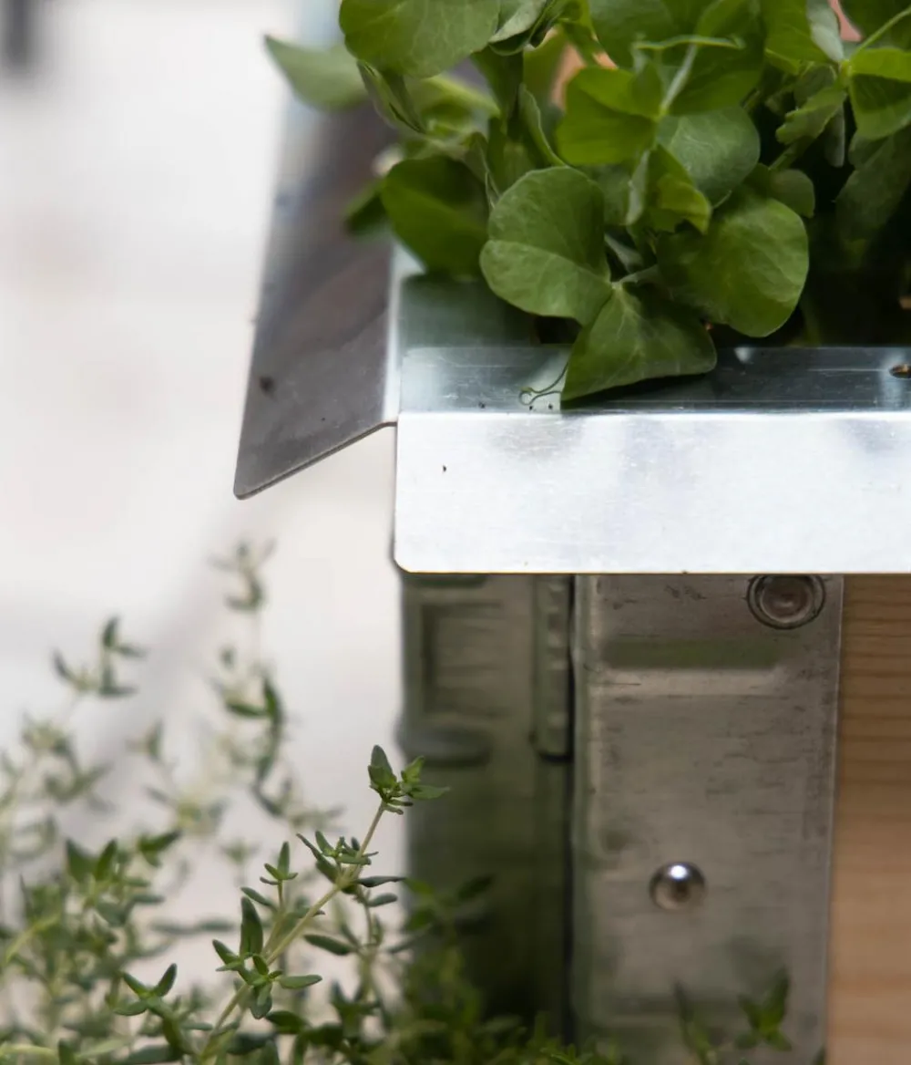 upyard Schneckenkante Silber Discount