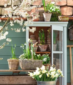 Van der Leeden Mehr Gartendekoration|Blumentöpfe & Übertöpfe > Rattan-Korb mit Henkel, oval,
