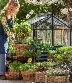 Van der Leeden Mehr Gartendekoration|Blumentöpfe & Übertöpfe - Rattan-Korb mit Henkeln, rund, -braun