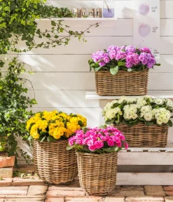 Van der Leeden Mehr Gartendekoration|Blumentöpfe & Übertöpfe > Rattan-Pflanzkorb, grau-braun