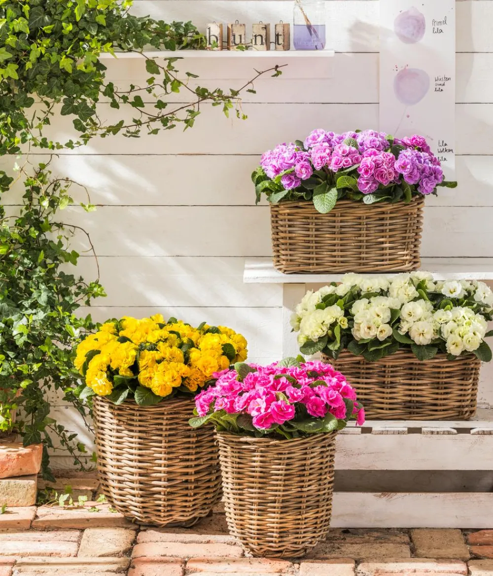 Van der Leeden Mehr Gartendekoration|Blumentöpfe & Übertöpfe > Rattan-Pflanzkorb, grau-braun
