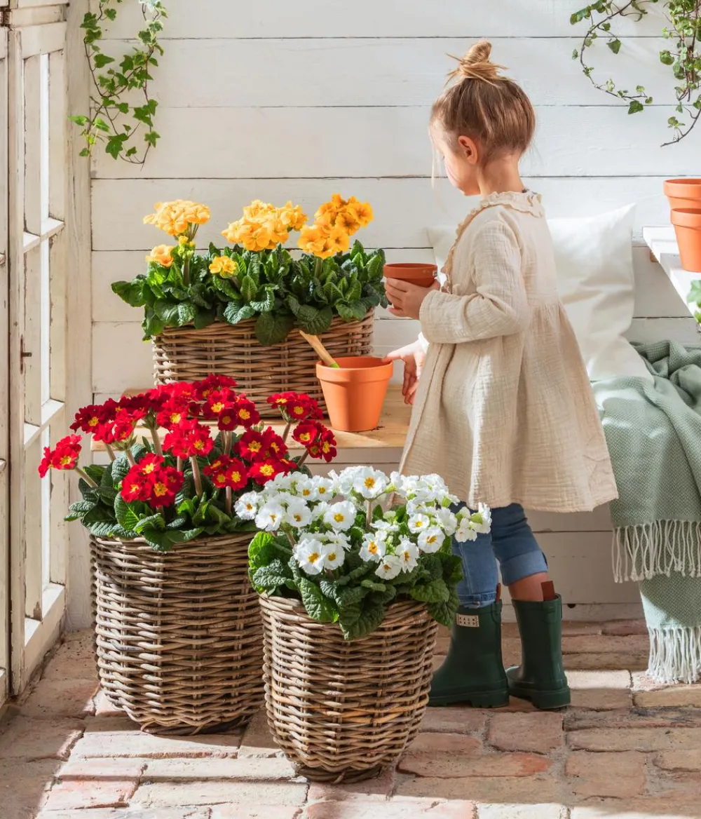 Van der Leeden Mehr Gartendekoration|Blumentöpfe & Übertöpfe > Rattan-Pflanzkorb, grau-braun