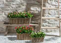 Van der Leeden Pflanzkübel & Blumenkästen > Rattan-Pflanzkasten, braun