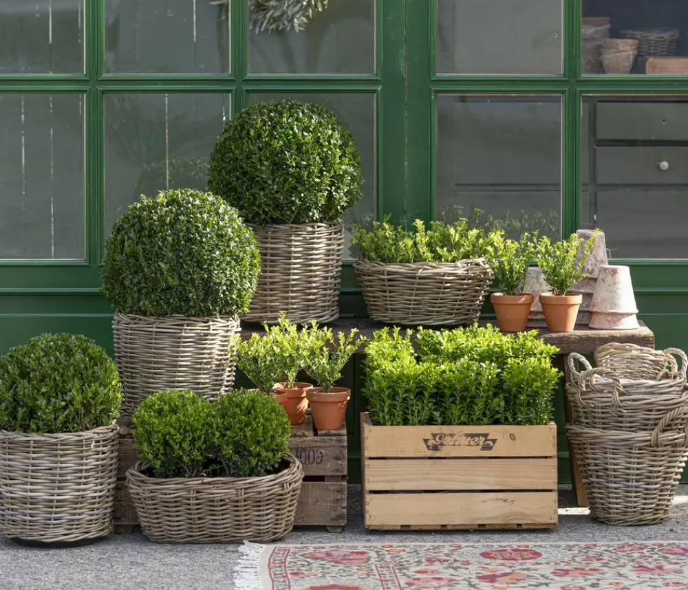 Van der Leeden Rattan-Topf Drypot, rund, /