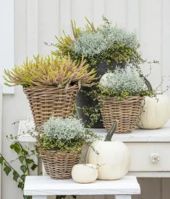 Van der Leeden Mehr Gartendekoration|Blumentöpfe & Übertöpfe - Rattan-Topf, konisch, grau-braun Natur