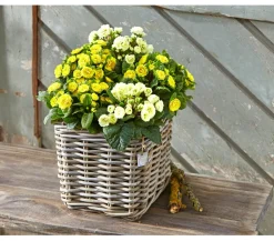 Van der Leeden Mehr Gartendekoration|Blumentöpfe & Übertöpfe > Rattan-Topf, quadratisch, grau-braun