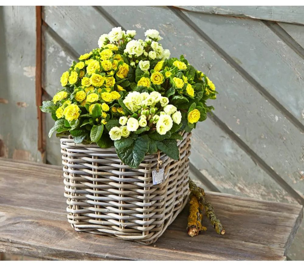 Van der Leeden Mehr Gartendekoration|Blumentöpfe & Übertöpfe > Rattan-Topf, quadratisch, grau-braun