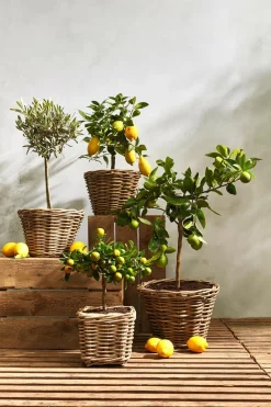 Van der Leeden Rattan-Topf, quadratisch, grau-braun Discount
