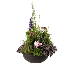 Vasar Blumenampeln & -Schalen > Kunststoff-Schale Aurora, rund, terrakotta