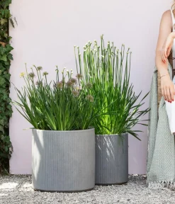 Vasar Pflanzkübel & Blumenkästen|Blumentöpfe & Übertöpfe > Kunststoff-Topf City, rund,