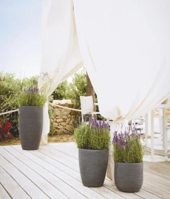 Vasar Kunststoff-Topf Shabby, rund, Anthrazit Outlet