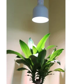 Venso Gewächshaus Zubehör > Lampenschirm Saga für Pflanzenlampe