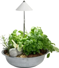 Venso Gewächshaus Zubehör > LED-Pflanzenlampe