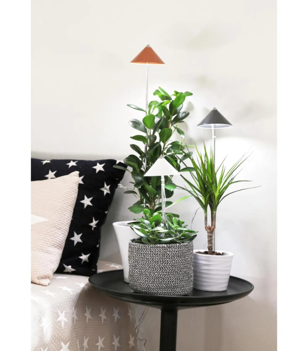 Venso Gewächshaus Zubehör > LED-Pflanzenlampe