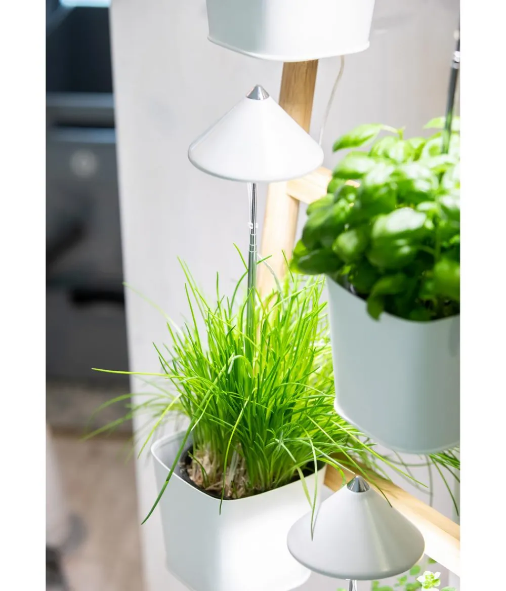 Venso Gewächshaus Zubehör > LED-Pflanzenlampe