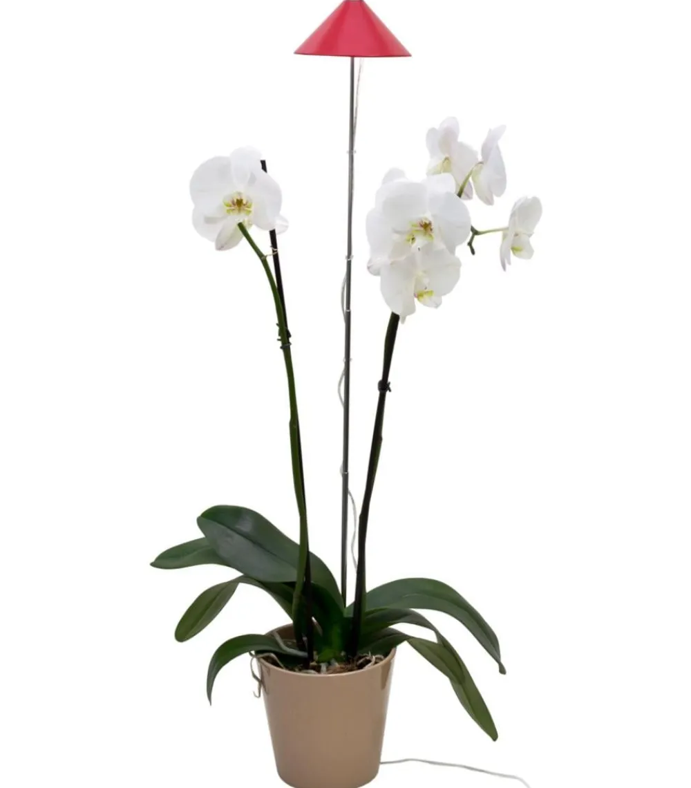 Venso Gewächshaus Zubehör > LED-Pflanzenlampe