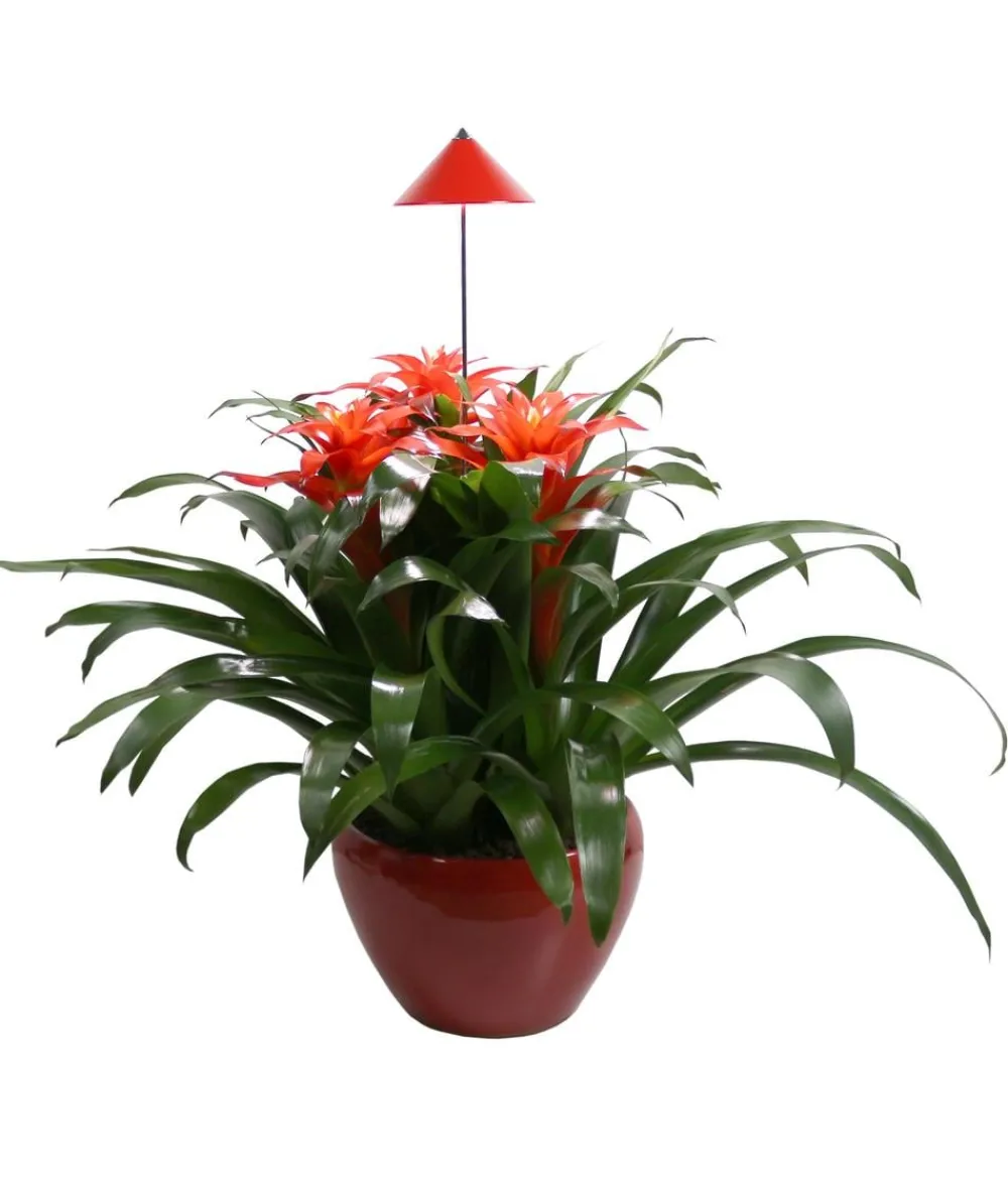 Venso Gewächshaus Zubehör > LED-Pflanzenlampe