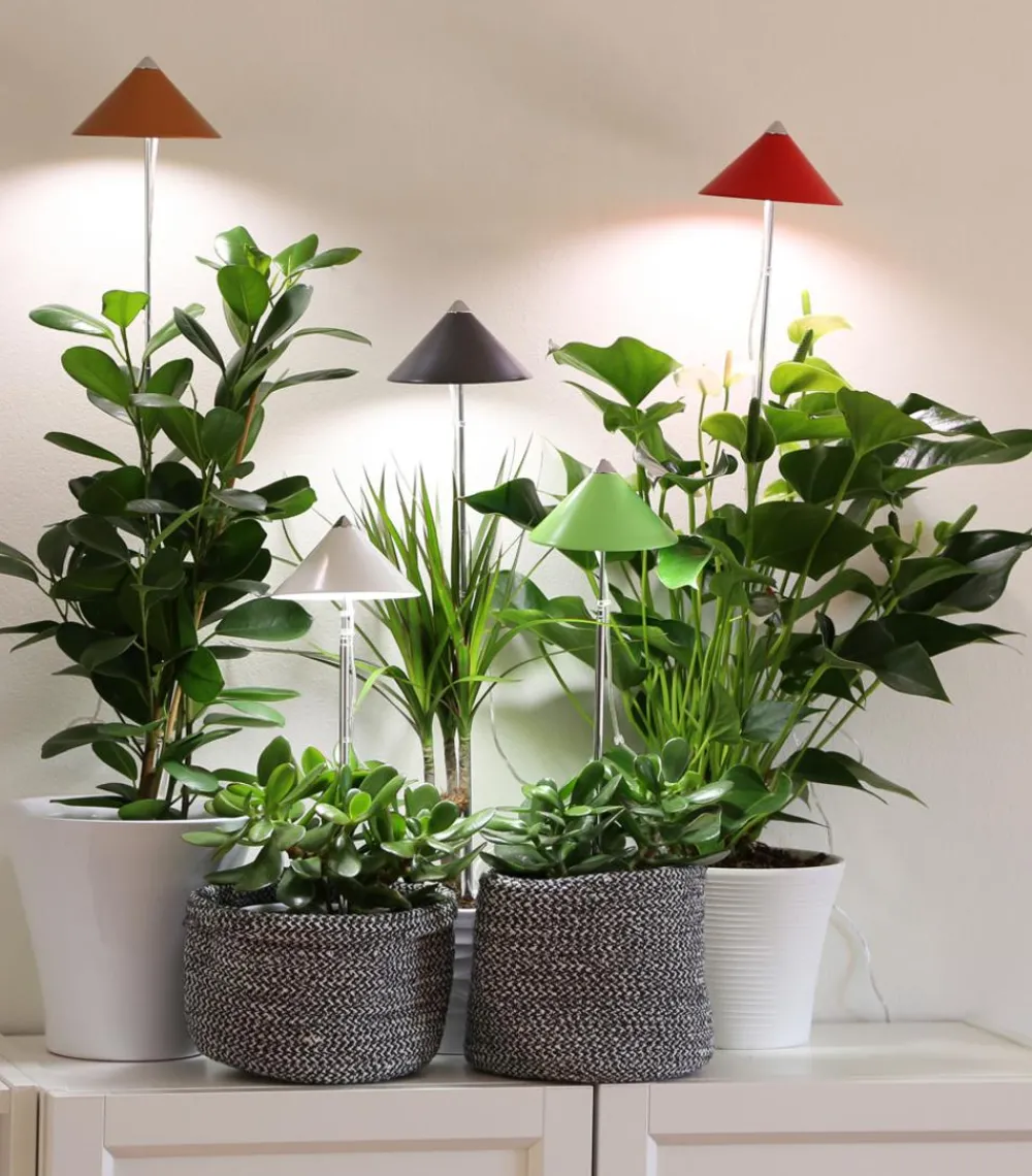 Venso Gewächshaus Zubehör > LED-Pflanzenlampe