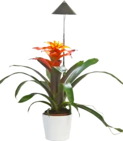 Venso LED-Pflanzenlampe Dunkelgrau Sale