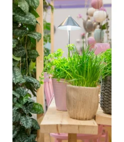 Venso LED-Pflanzenlampe Dunkelgrau Sale