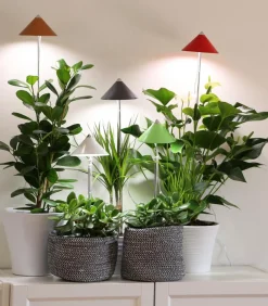 Venso Gewächshaus Zubehör - LED-Pflanzenlampe Hellgrün