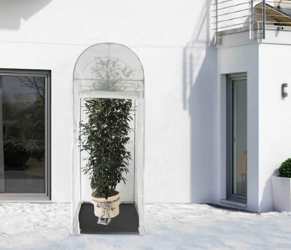 Videx Pflanzenfolien & Ernteschutz > Winterschutz Frost-Schutzhaus Palm Protect, ca. B100/H249/T100 cm