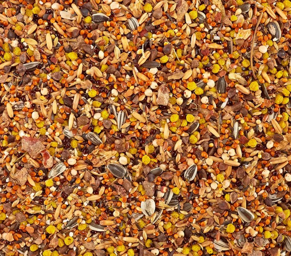 Vitakraft® Vogelfutter & Snacks - Vogelfutter African für afrikanische Papageien, 750 g